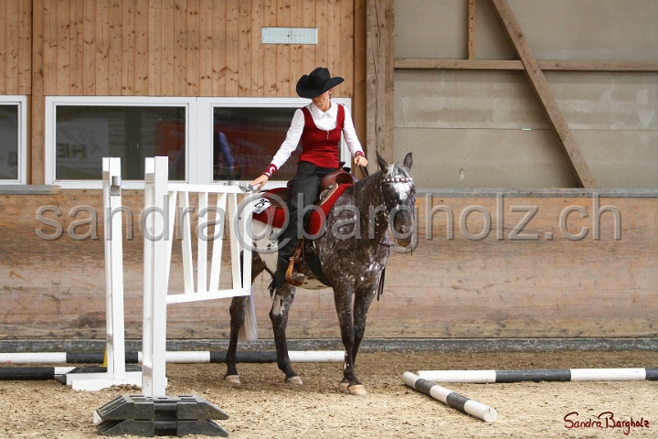 28-ApHC OT_273.jpg